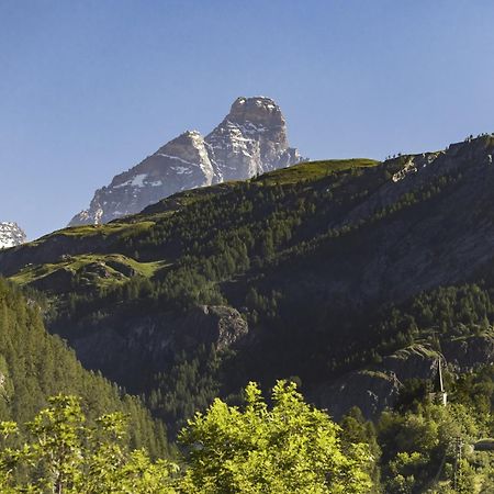 Hellochalet - Chalet Northern Lights - Family Ski Chalet With Garden Walking Distance Lift Valtournenche Eksteriør bilde