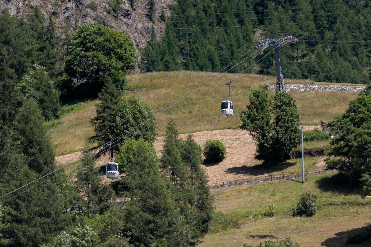 Hellochalet - Chalet Northern Lights - Family Ski Chalet With Garden Walking Distance Lift Valtournenche Eksteriør bilde